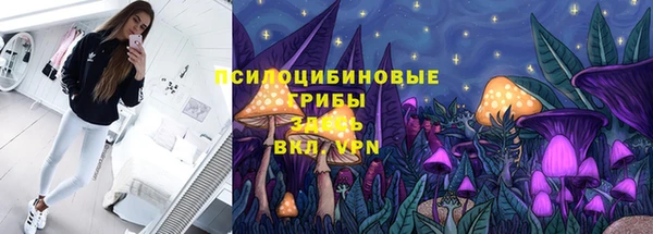 твердый Вязники