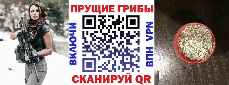 Псилоцибиновые грибы прущие грибы  Пересвет 